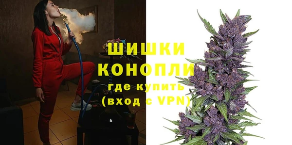 PSILOCYBIN Ладушкин
