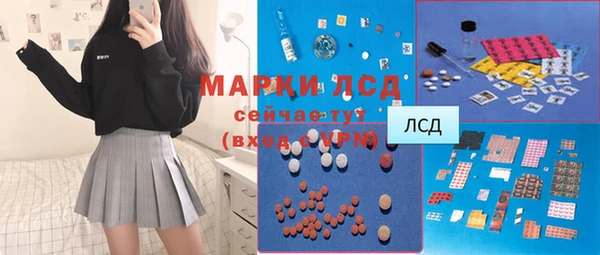 прущие грибы Покачи