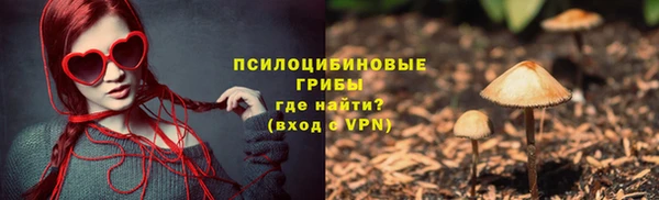 тгк Пересвет