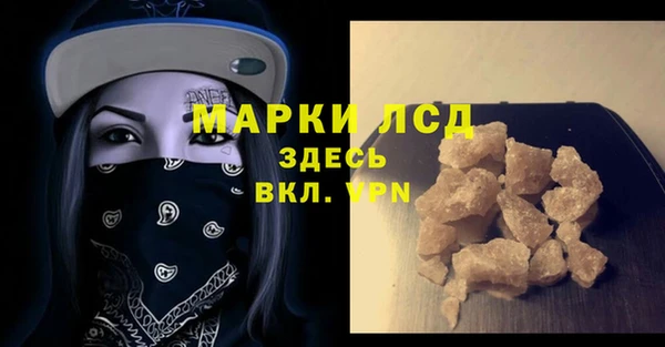 прущие грибы Покачи