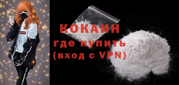 тгк Пересвет