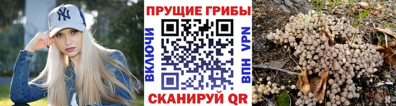 Псилоцибиновые грибы Psilocybine cubensis  Крымск 