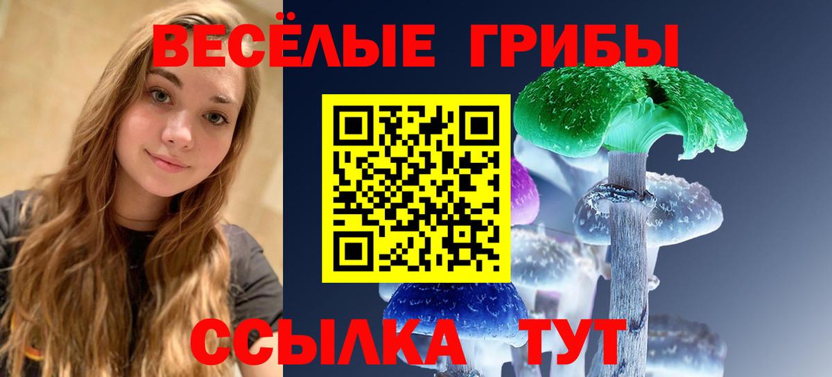 Крымск  Псилоцибиновые грибы мицелий  Галлюциногенные грибы Magic Shrooms  Вход с VPN 